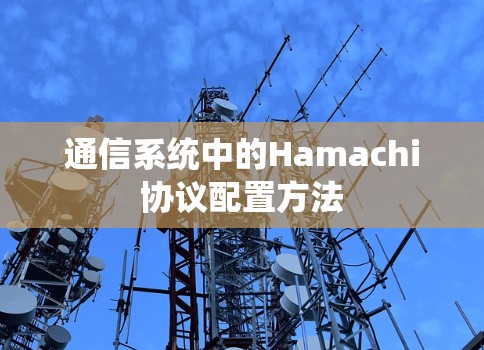 通信系统中的Hamachi协议配置方法 通信系统中的Hamachi协议配置方法