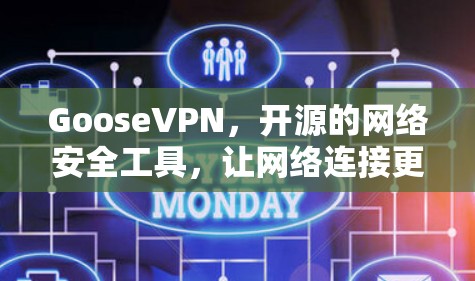 GooseVPN，开源的网络安全工具，让网络连接更高效