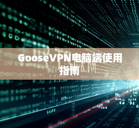 GooseVPN电脑端使用指南 GooseVPN电脑端使用指南