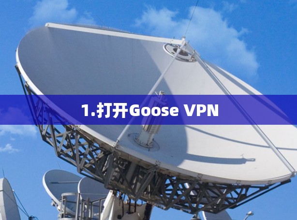 1.打开Goose VPN 1.打开Goose VPN