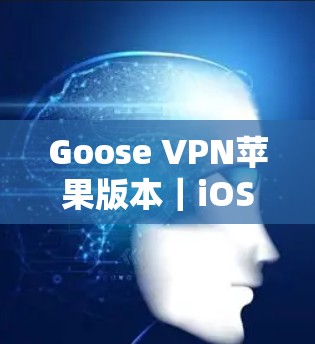 Goose VPN苹果版本|iOS工具 Goose VPN苹果版本|iOS工具