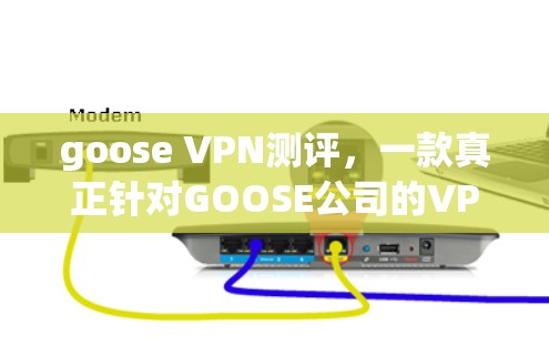 goose VPN测评,一款真正针对GOOSE公司的VPN服务 goose VPN测评,一款真正针对GOOSE公司的VPN服务