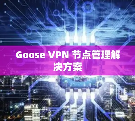 Goose VPN 节点管理解决方案