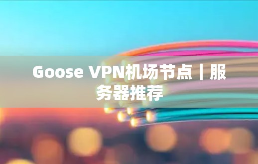 Goose VPN机场节点|服务器推荐 Goose VPN机场节点|服务器推荐