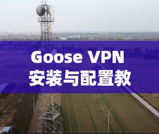 Goose VPN 安装与配置教程