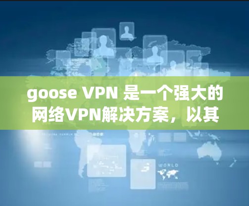 goose VPN 是一个强大的网络VPN解决方案，以其多方面的安全功能和隐私保护措施著称。以下是其主要的安全功能和隐私保护说明
