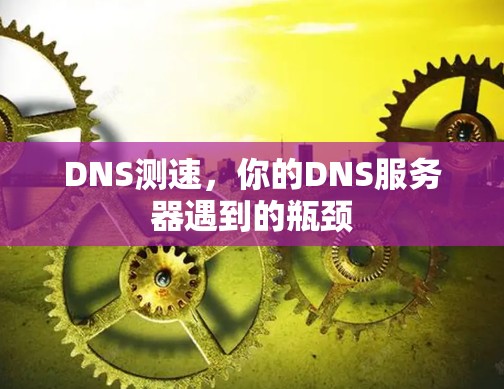 DNS测速,你的DNS服务器遇到的瓶颈 DNS测速,你的DNS服务器遇到的瓶颈