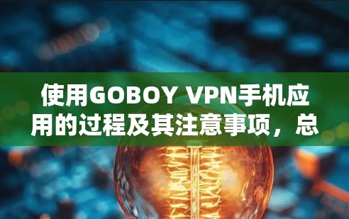 使用GOBOY VPN手机应用的过程及其注意事项，总结如下