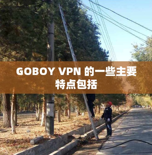 GOBOY VPN 的一些主要特点包括