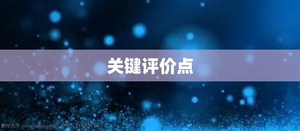关键评价点