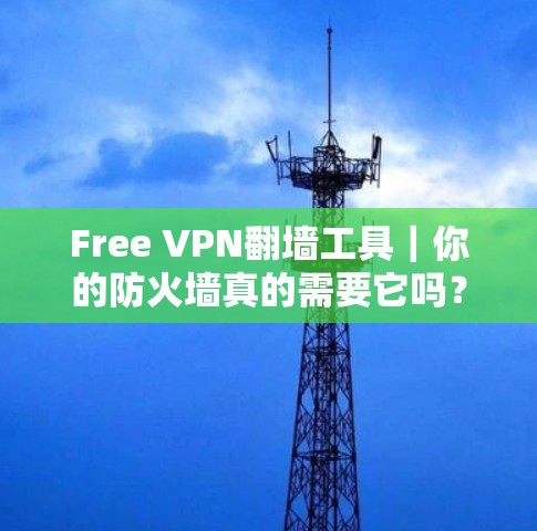 Free VPN翻墙工具｜你的防火墙真的需要它吗？