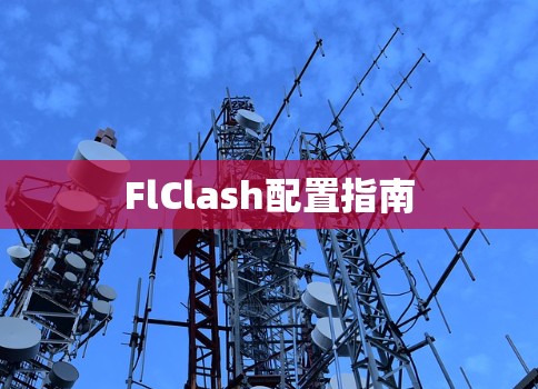 FlClash配置指南