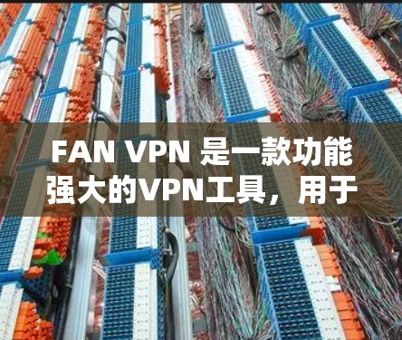 FAN VPN 是一款功能强大的VPN工具，用于保护隐私和控制流量。以下是其主要功能的详细分析