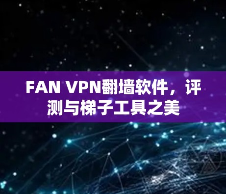 FAN VPN翻墙软件，评测与梯子工具之美