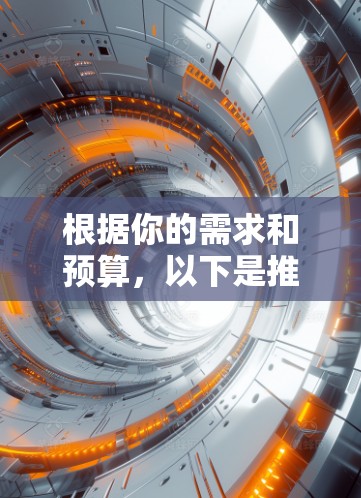 根据你的需求和预算，以下是推荐的VPN客户端