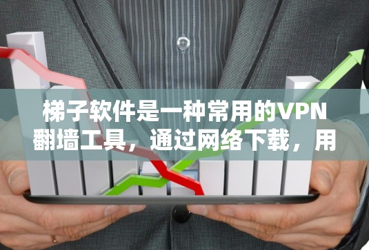 梯子软件是一种常用的VPN翻墙工具，通过网络下载，用户只需输入IP地址即可访问目标国家的VPN服务。以下是对该工具的详细分析