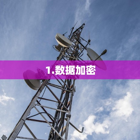 1.数据加密