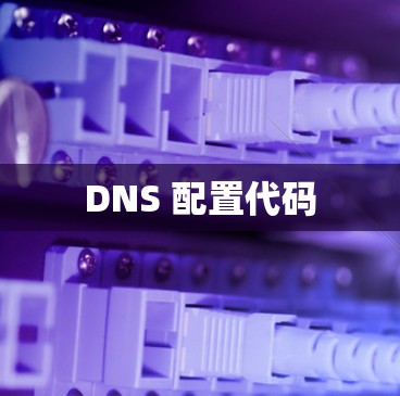 DNS 配置代码 DNS 配置代码