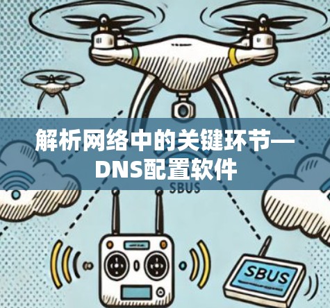 解析网络中的关键环节—DNS配置软件