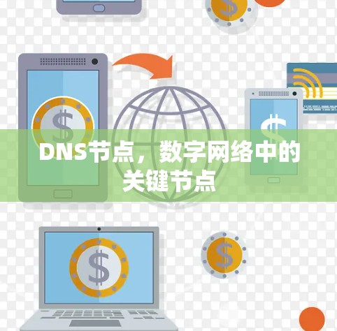 DNS节点,数字网络中的关键节点 DNS节点,数字网络中的关键节点