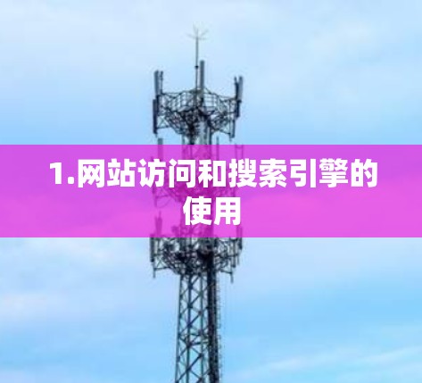 1.网站访问和搜索引擎的使用