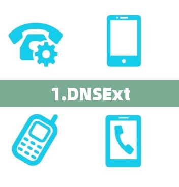 1.DNSExt 1.DNSExt