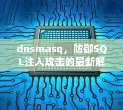 dnsmasq,防御SQL注入攻击的最新解决方案 dnsmasq,防御SQL注入攻击的最新解决方案