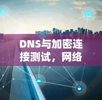 DNS与加密连接测试,网络安全关键指标之分析 DNS与加密连接测试,网络安全关键指标之分析