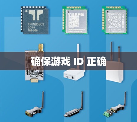 确保游戏 ID 正确