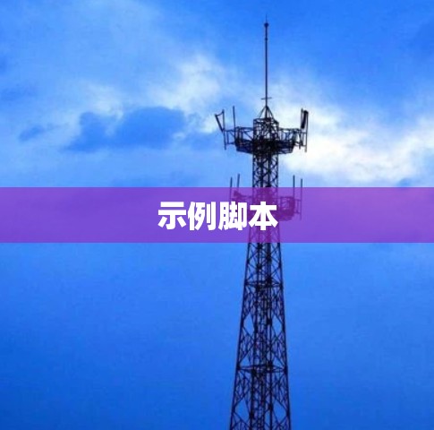 示例脚本