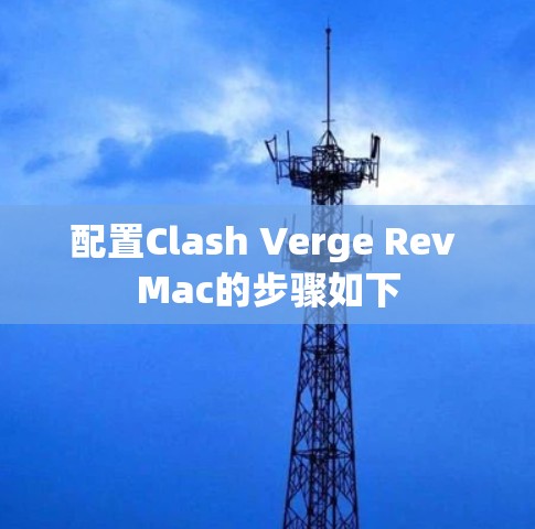 配置Clash Verge Rev Mac的步骤如下