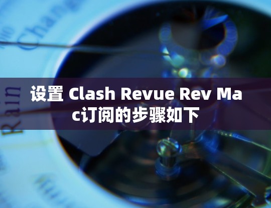 设置 Clash Revue Rev Mac订阅的步骤如下 设置 Clash Revue Rev Mac订阅的步骤如下