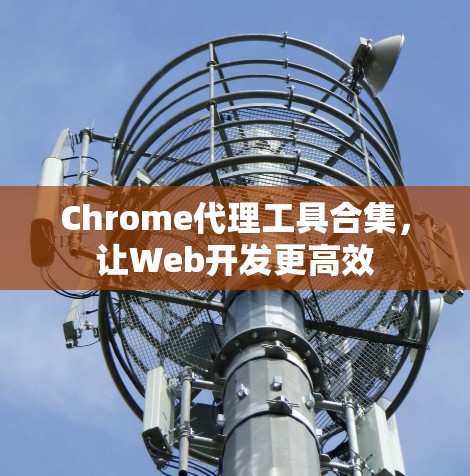 Chrome代理工具合集，让Web开发更高效