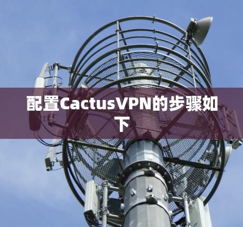 配置CactusVPN的步骤如下