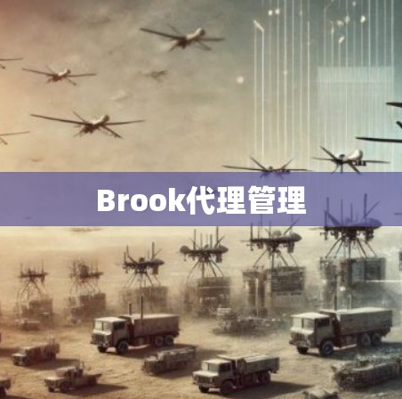 Brook代理管理