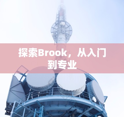 探索Brook，从入门到专业