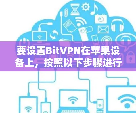 要设置BitVPN在苹果设备上，按照以下步骤进行