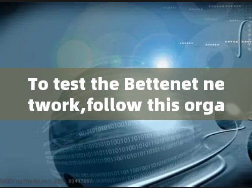 To test the Bettenet network,follow this organized approach: To test the Bettenet network,follow this organized approach:
