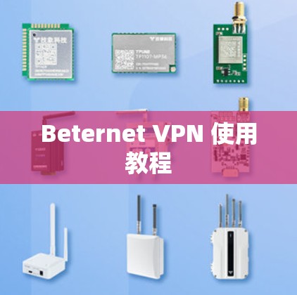 Beternet VPN 使用教程 Beternet VPN 使用教程