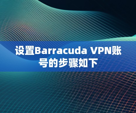 设置Barracuda VPN账号的步骤如下