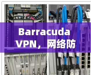 Barracuda VPN,网络防护的平衡态 Barracuda VPN,网络防护的平衡态