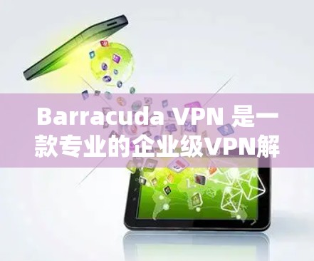 Barracuda VPN 是一款专业的企业级VPN解决方案，适合企业内部和外部网络的网络保护需求。如果你要下载并使用Barracuda VPN客户端，以下是详细的指南和注意事项