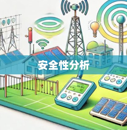安全性分析