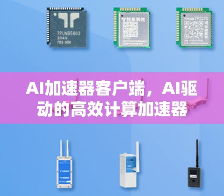 AI加速器客户端，AI驱动的高效计算加速器