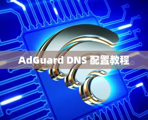 AdGuard DNS 配置教程