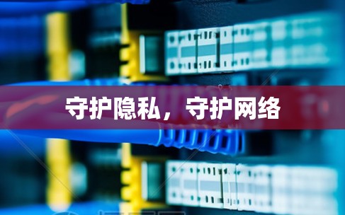 守护隐私，守护网络