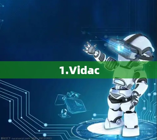 1.Vidac 1.Vidac