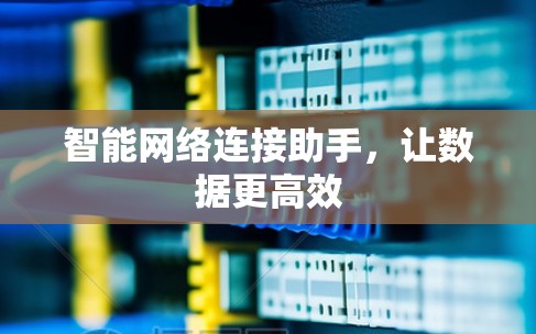 智能网络连接助手，让数据更高效