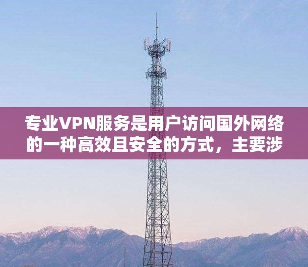 专业VPN服务是用户访问国外网络的一种高效且安全的方式，主要涉及流媒体、视频会议、在线银行等多种用途。以下是关于专业VPN服务的详细分析