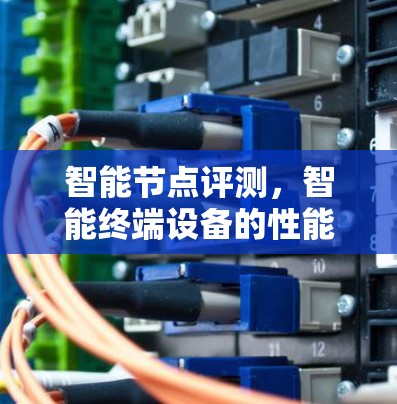 智能节点评测,智能终端设备的性能与安全挑战 智能节点评测,智能终端设备的性能与安全挑战